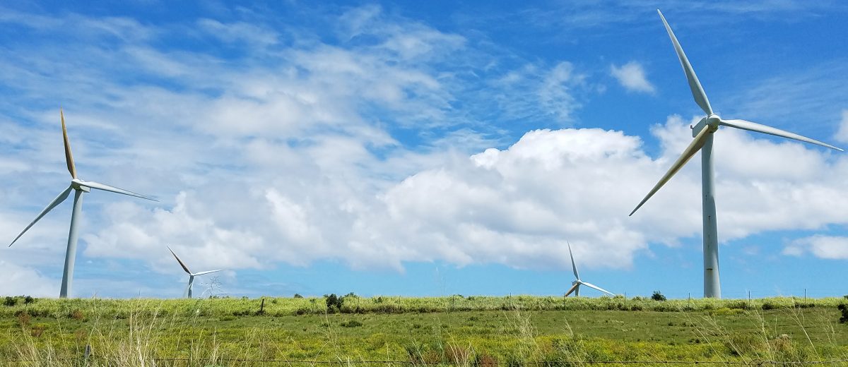 Tall White Windmills Turning in a Green Field, Big Island, Kapaau, Hawaii