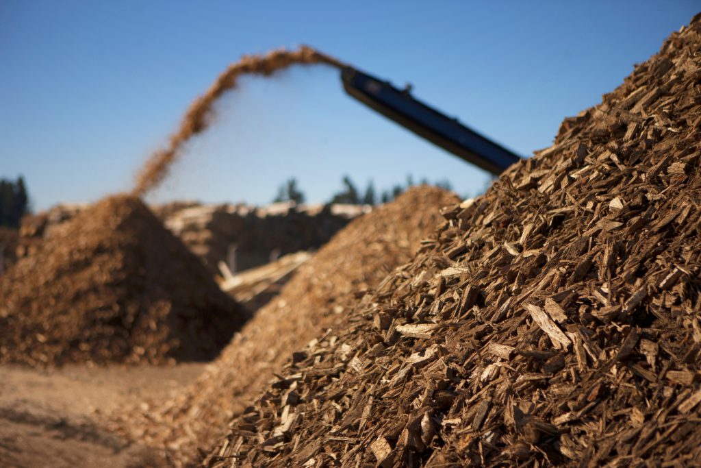 Biomass energy of the future