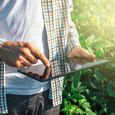 Farmer using digital tablet computer in cultivated soybean crops field, modern technology application in agricultural growing activity, selective focus