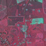 WoodPro NAIP Infrared Imagery - White Outline